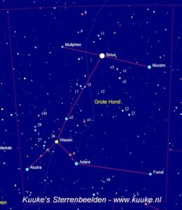 Canis Major - Grote Hond