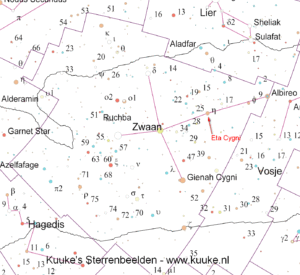 Het sterrenbeeld Zwaan - Cygnus