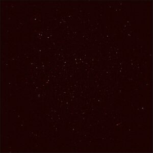 1300 sterrenstelsels waargenomen door de MeerKAT telescoop