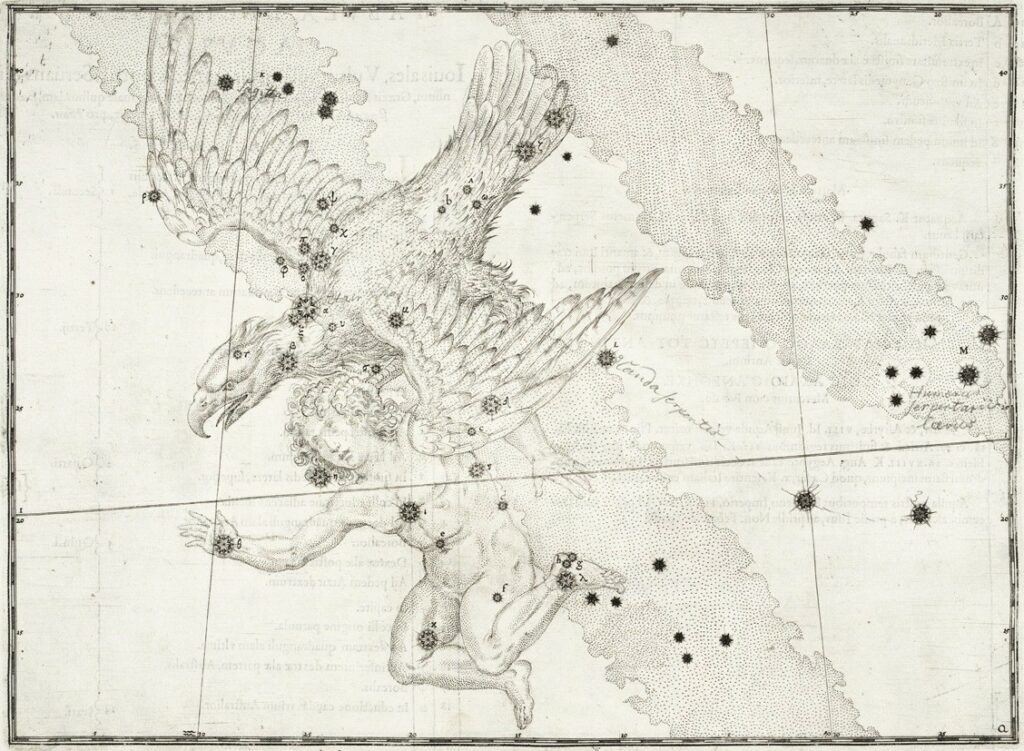 Aquila - uit de Uranometria van Johann Bayer (1603)