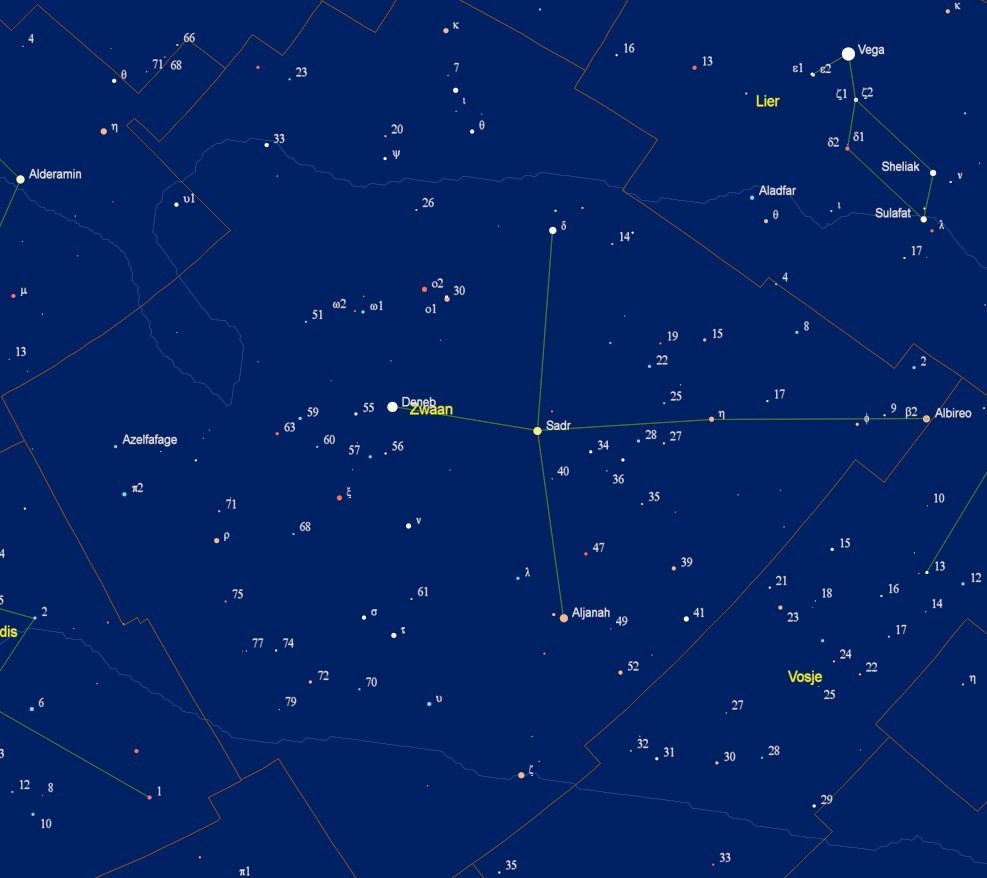 Kaart van het sterrenbeeld Cygnus - Zwaan met de namen van de sterren