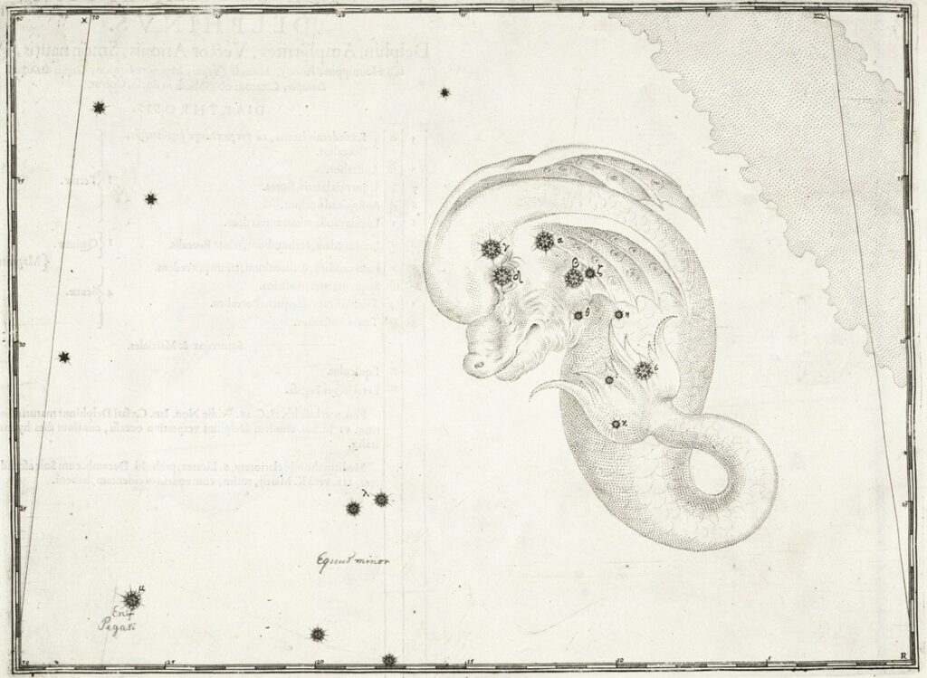 Het sterrenbeeld Delphinus - Dolfijn uit de uranometria van Johann Bayer