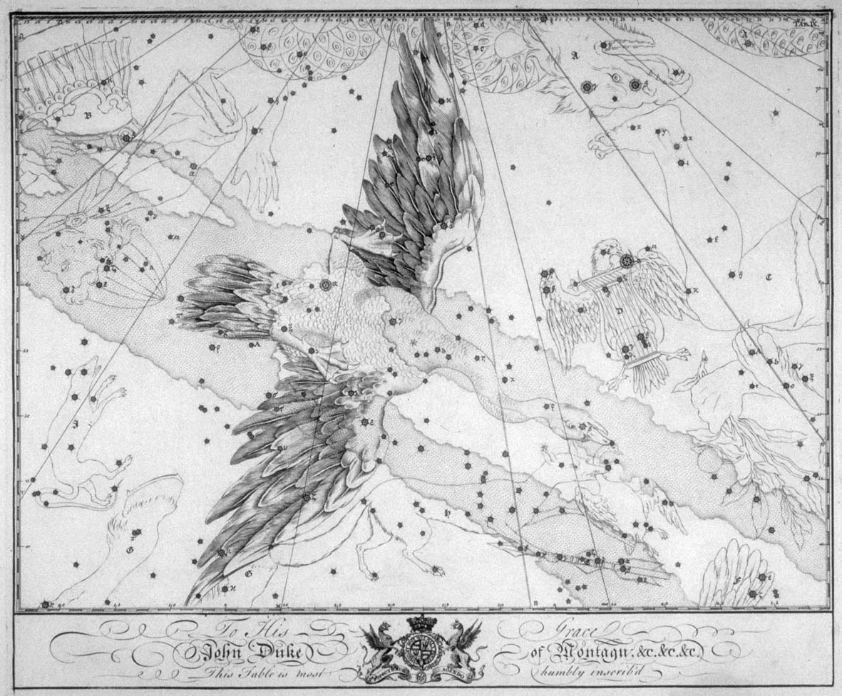 Het sterrenbeeld Cygnus - Zwaan uit de steratlas van Jon Bevis