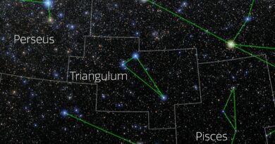 Foto van het sterrenbeeld Driehoek - Triangulum met annotaties van de IAU en Sky & Telescope.
