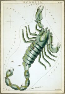 Scorpius uit Urania's Mirror