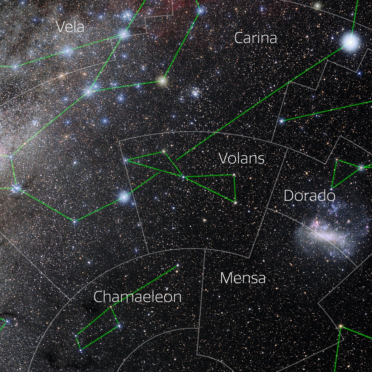 Foto van het sterrenbeeld Volans - Vliegende Vis met annotaties van de IAU en Sky & Telescope.