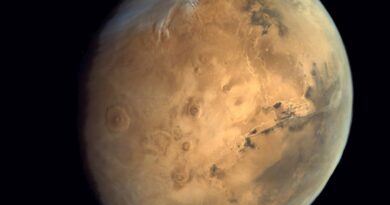 Mars, gefotografeerd door de Mars Insertion Orbiter