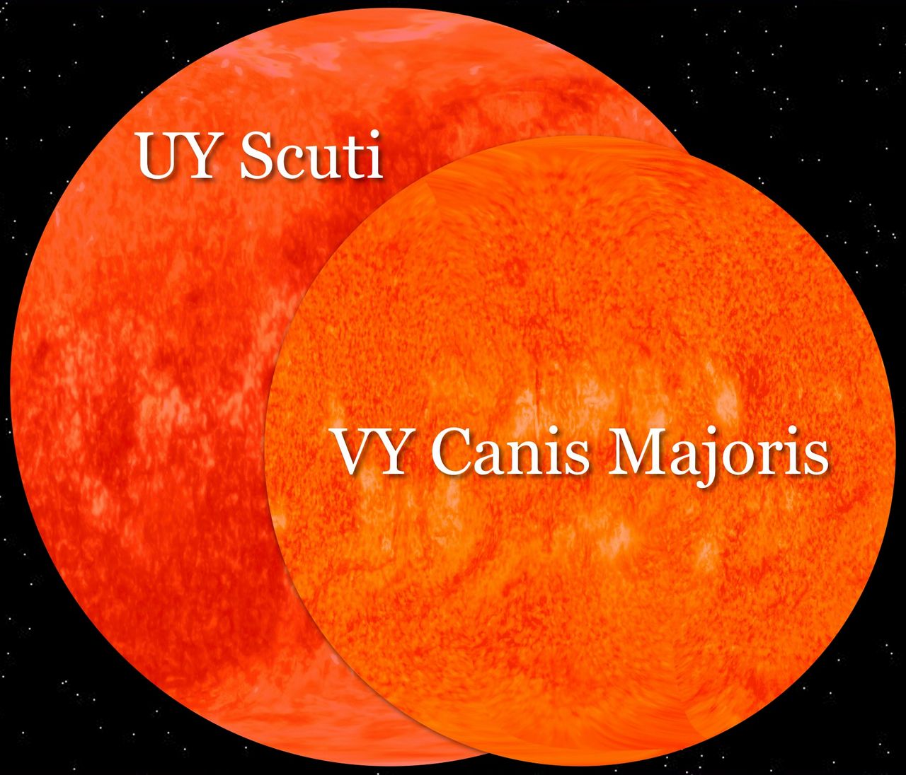 UY Scuti vergeleken met VY Canis Majoris