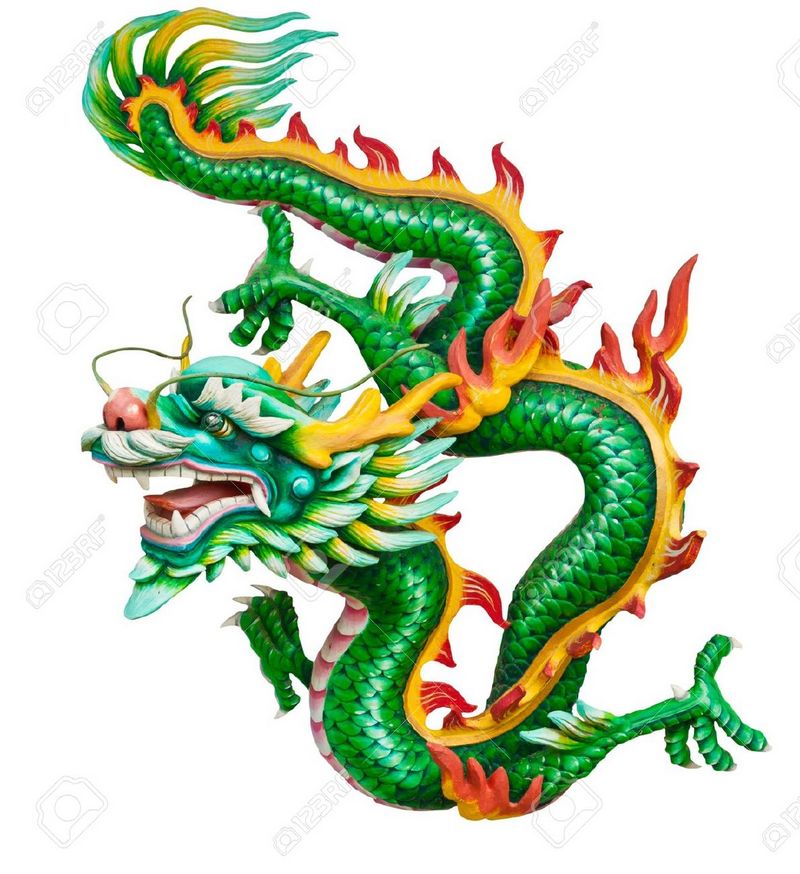 Chinese groene draak