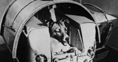 Laika