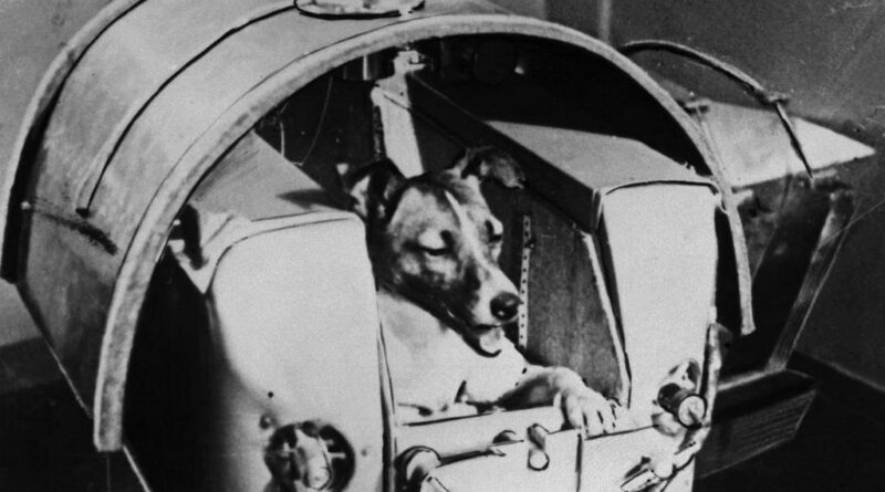 Laika