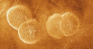 Vulkanen op Venus