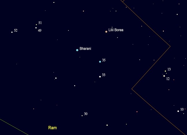 Het sterrenbeeld Musca Borealis de noordelijke vlieg