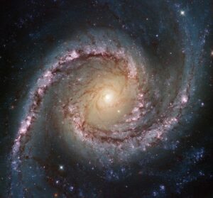 NGC 1566 in Dorado