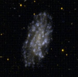NGC 2541 in Lynx