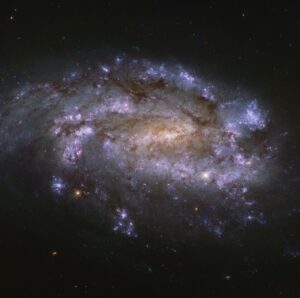 NGC 1559 in Reticulum