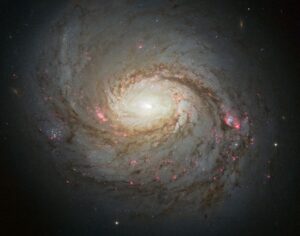 Messier 77 in Cetus