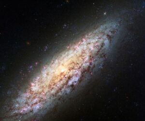NGC 6503 in Draco