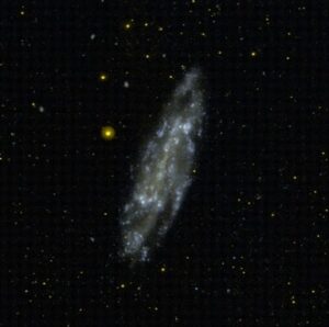 NGC 4236 in Draco