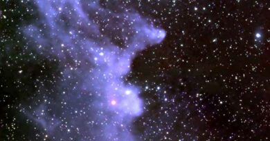 IC 2118 in Eridanus