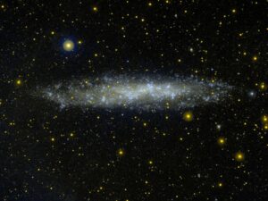 NGC 3109 in Hydra