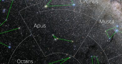 Foto van het sterrenbeeld Apus - Paradijsvogel met annotaties van de IAU en Sky & Telescope.