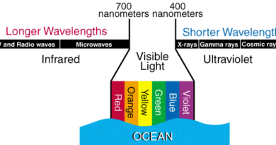 Het zichtbare deel van het elektromagnetische spectrum.