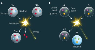 Quarks