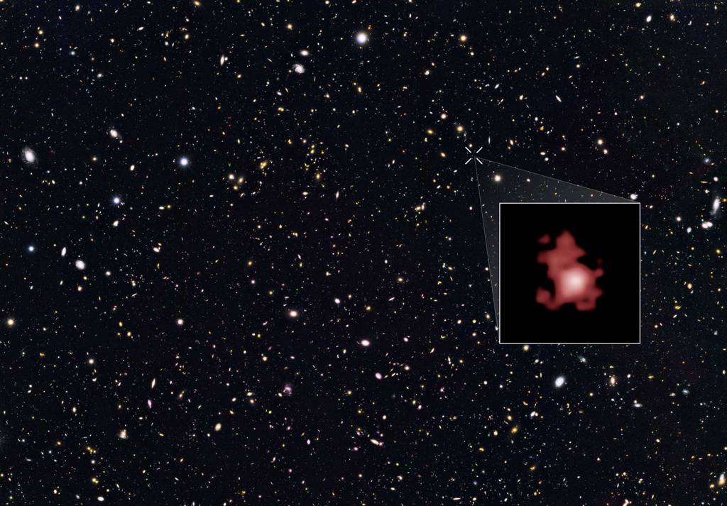 Het verstverwijderde sterrenstelsel GZ-z11 in het sterrenbeeld Grote Beer