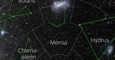 Foto van het sterrenbeeld Mensa - Tafelberg met annotaties van de IAU en Sky & Telescope.