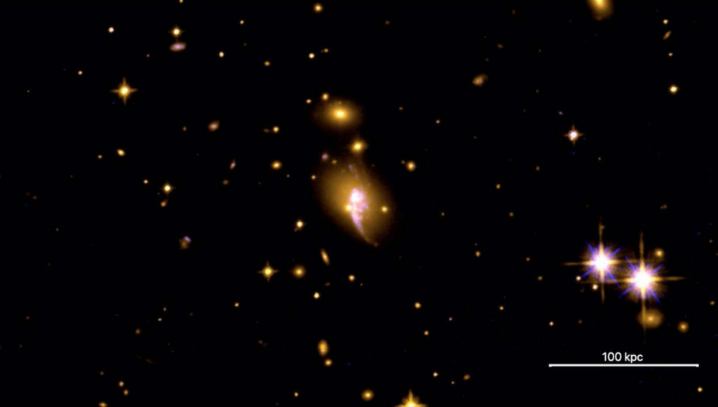 De cluster van sterrenstelsels CHIPS 1911+4455