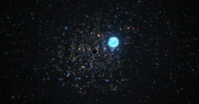 Artist impressie NGC 1850 BH1