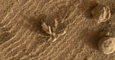 Koraal op Mars