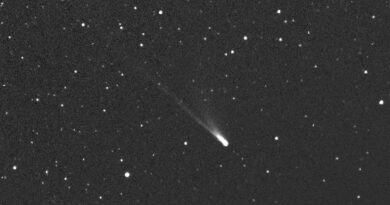 Komeet 96P/Machholz