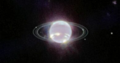 Webb ziet de ringen van Neptunus
