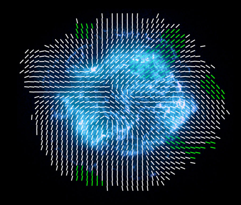 Cassiopeia A met IXPE-data toegevoegd