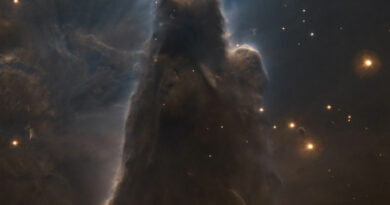 De Konusnevel in het sterrenbeeld Monoceros - Eenhoorn