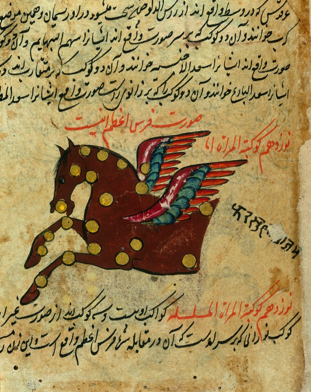Afbeelding van Pegasus in een oud Perzisch manuscript