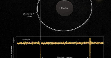 Lichtkromme van de ringen van Chariklo zoals waargenomen door de Webb Space Telescope