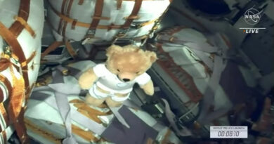 De kleine teddybeer in de Sojoez MS23 dient als gewichtsloosheidindicator.