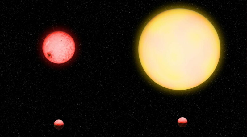 een afbeelding met twee panelen die een identieke planeet laat zien die in een baan om twee sterren van zeer verschillende grootte draait. de ster aan de rechterkant is aanzienlijk groter dan de ster aan de linkerkant