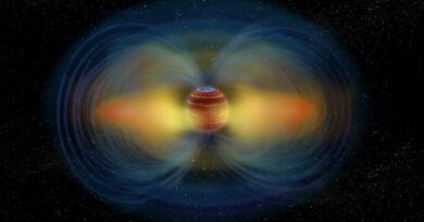 Een illustratie van een aurora en stralingsgordel rond een ultrakoele dwergster.