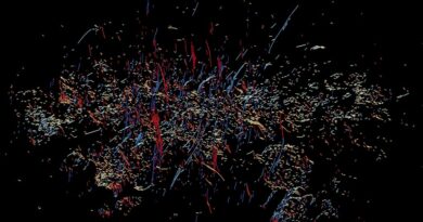 Een MeerKAT-afbeelding van de filamenten in het galactische centru