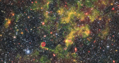 Een dicht veld van sterren en stof in NGC 6822 gezien door de James Webb Space Telescope.