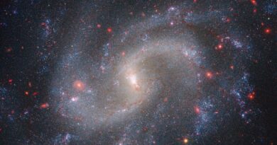 Gecombineerde gegevens van de Webb- en Hubble-ruimtetelescoop tonen het sterrenstelsel NGC 5584, op 72 miljoen lichtjaar afstand.