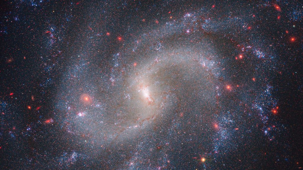 Gecombineerde gegevens van de Webb- en Hubble-ruimtetelescoop tonen het sterrenstelsel NGC 5584, op 72 miljoen lichtjaar afstand. 