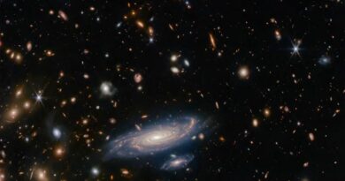Een deep field  van verre sterrenstelsels, gezien door de Webb-ruimtetelescoop.