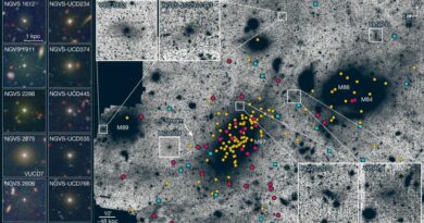 Dwergstelsels met een sterke kern, UCD’s met omhulsels en UCD’s in de kern van de Virgo Cluster.