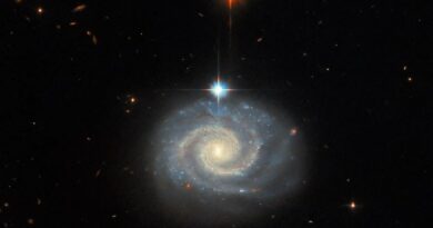 Op deze afbeelding van de Hubble Space Telescope is een helder spiraalstelsel te zien dat bekend staat als MCG-01-24-014