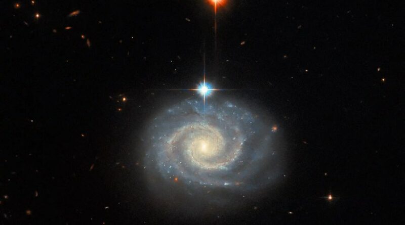 Op deze afbeelding van de Hubble Space Telescope is een helder spiraalstelsel te zien dat bekend staat als MCG-01-24-014